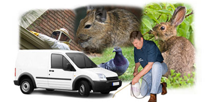 Great Malvern local van